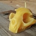 see more listings in the Pet Cemetery section