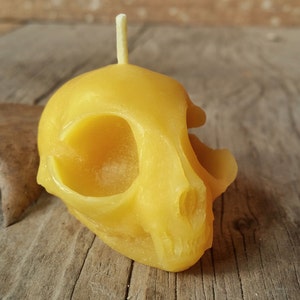 Kitten Skull Beeswax Candle All Natural Pure Beeswax Candle image 3