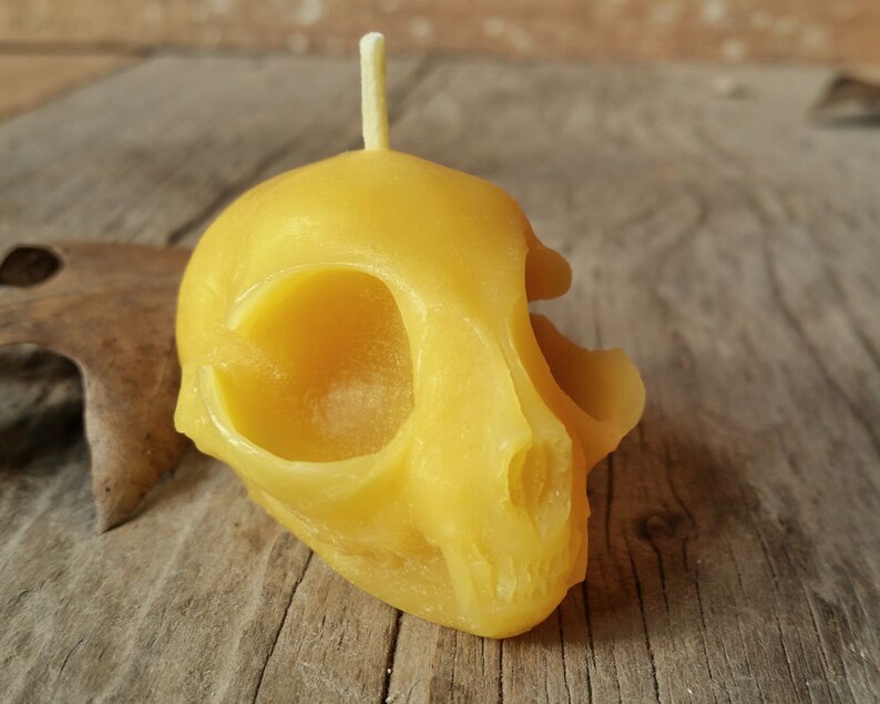 Kitten Skull Beeswax Candle All Natural Pure Beeswax Candle image 3