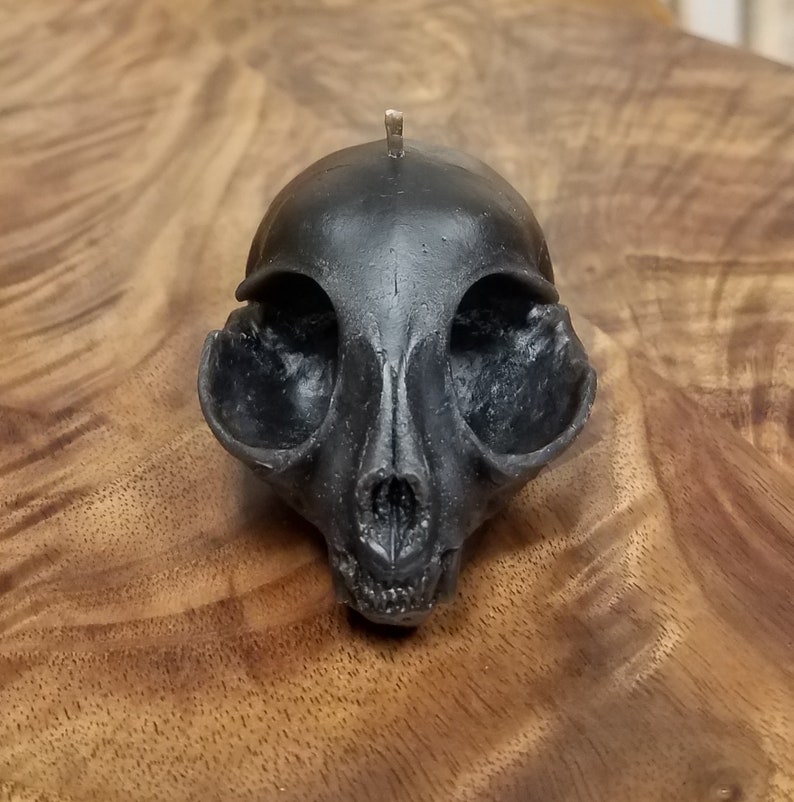 Black Kitten Skull Beeswax Candle imagem 5