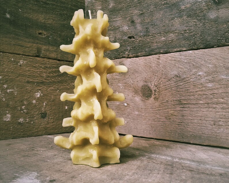 Medium Human Spine Candle, Spooky Beeswax Halloween Candle image 3