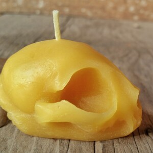 Kitten Skull Beeswax Candle All Natural Pure Beeswax Candle image 2