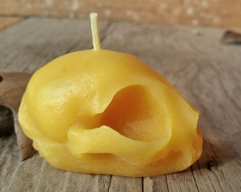 Kitten Skull Beeswax Candle All Natural Pure Beeswax Candle image 2