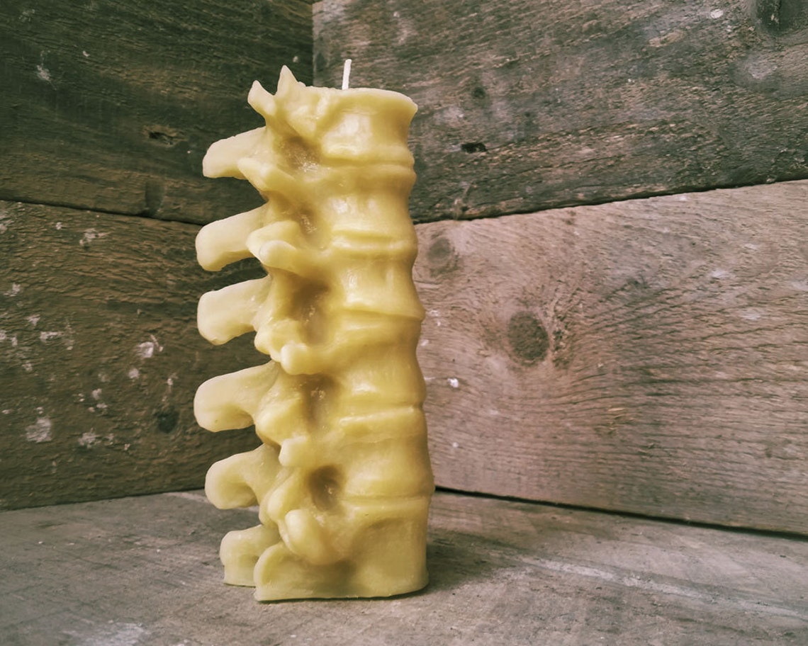 Medium Human Spine Candle Spooky Beeswax Halloween Candle Etsy