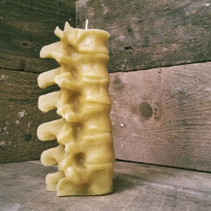 Medium Human Spine Candle, Spooky Beeswax Halloween Candle image 2