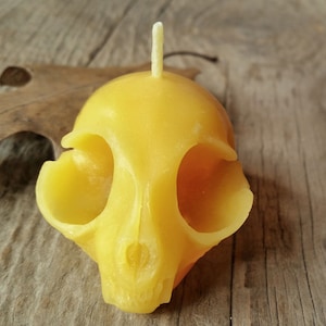 Kitten Skull Beeswax Candle All Natural Pure Beeswax Candle image 1