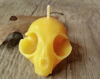 Kitten Skull Beeswax Candle - All Natural Pure Beeswax Candle