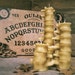 see more listings in the Beeswax Spine Candles section