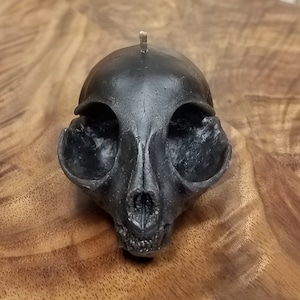 Black Kitten Skull Beeswax Candle image 1