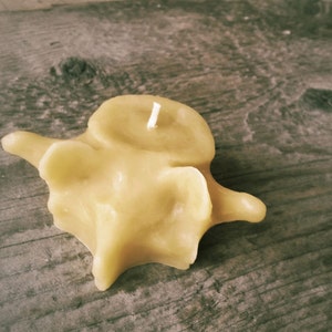 Beeswax Vertebrae Votive Candles PACK OF 3 image 2