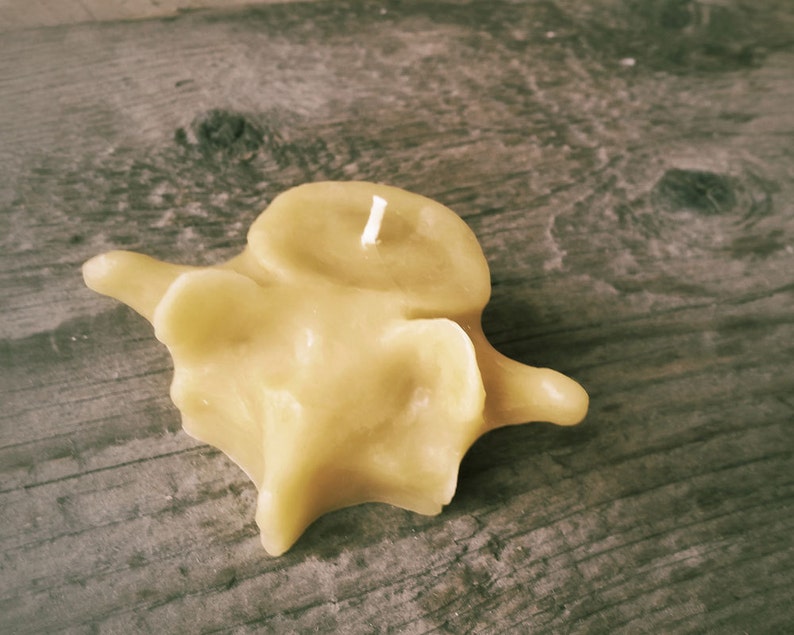 Beeswax Vertebrae Votive Candles PACK OF 3 image 2