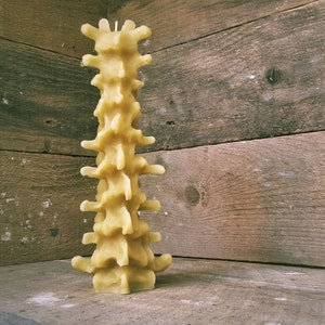 Large Human Spine Candle, Spooky Beeswax Halloween Candle image 3