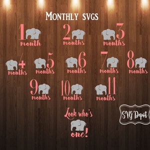 May include: A set of 11 pink and gray SVG files featuring a cute elephant design for each month of a baby's first year. The files also include a "Look who's one!" design with an elephant. The text "MONTHLY SVGS" and "SVG Depot" are also included in the image.
