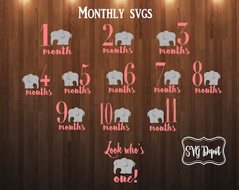 Monthly Onesie Elephant SVG Set, Baby Milestone (Digital Download)