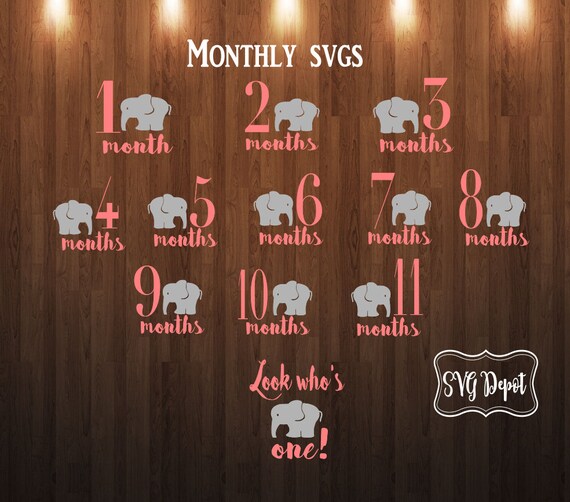Monthly Onesie Elephant SVG Set, Baby Milestone (Digital Download)