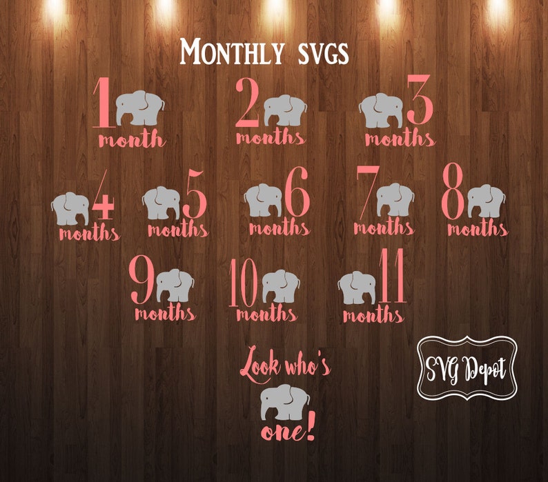 May include: A set of 11 pink and gray SVG files featuring a cute elephant design for each month of a baby's first year. The files also include a "Look who's one!" design with an elephant. The text "MONTHLY SVGS" and "SVG Depot" are also included in the image.