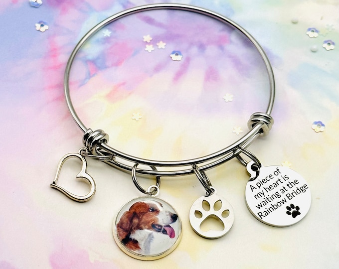 Rainbow Bridge Charm Bracelet, Pet Loss Gift, Gift for Loss of Pet, Dog Memorial Jewelry Gift, Animal Lover Gift Idea, Gift Ideas for Her