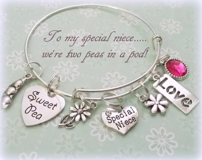 Niece Gift, Niece Charm Bracelet, Jewelry for Niece, Gifts for Niece, Aunt to Niece Gift, Niece Jewelry Gifts, Aunt Jewelry, Aunt Gifts