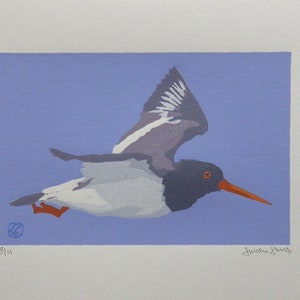 Oystercatcher, 8 Colour Linoprint, Limited Edition of 11, 2022