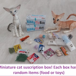 1 pc miniature cat surprise box, miniature cat toy, 1:4 , 1/6, Miniature cat accessorie, BJD cat accessories, doll accessories
