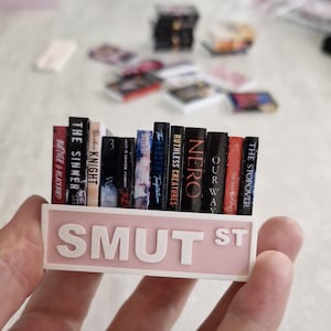 Puede incluir: Una pequeña estantería rosa con lomos de libros en miniatura, incluyendo títulos como "The Sinner" y "Nero". La estantería tiene las palabras "SMUT ST" impresas. Los libros están sujetos por un marco blanco.