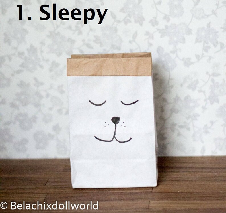 May include: A white paper bag with a brown top, featuring a hand-drawn face with closed eyes and a small nose. The bag is labeled "1. Sleepy".
