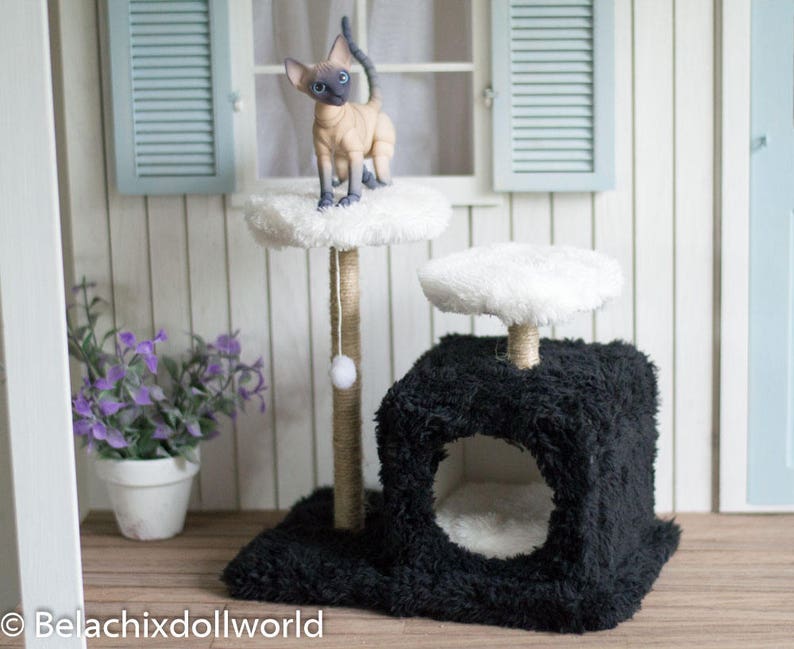 dollhouse cat