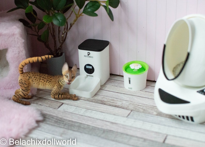 May include: A white automatic pet feeder with a digital timer, a white water fountain with a green top and a white pet bed with a black rim.