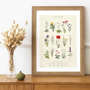 Israel Blumen Wand Kunst | Israelische Blumen Moderne Kunst | Blume Israels Wandbild gerahmt Kunst Dekor