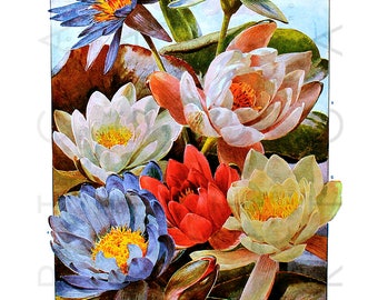 Vintage floral art | Etsy