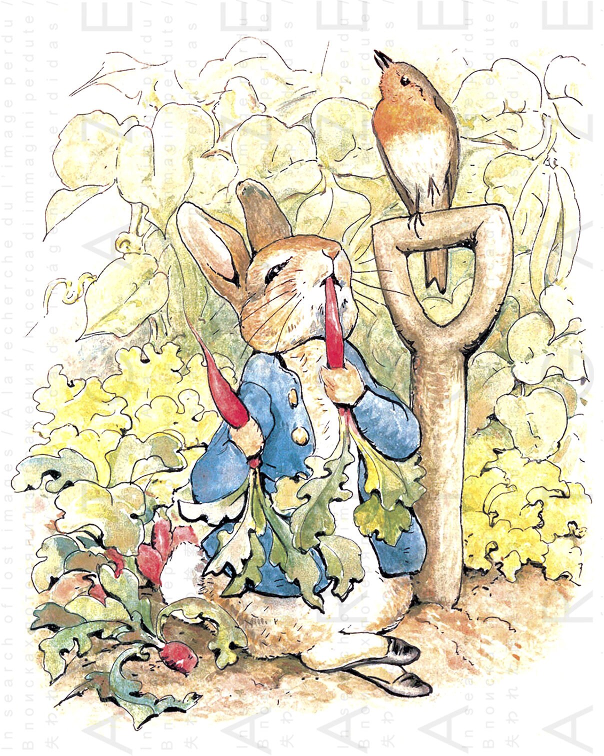 PETER RABBIT /& Friends Lovely Gift Tags Beatrix POTTER Printable Illustrations Peter Rabbit Images Digital Download.