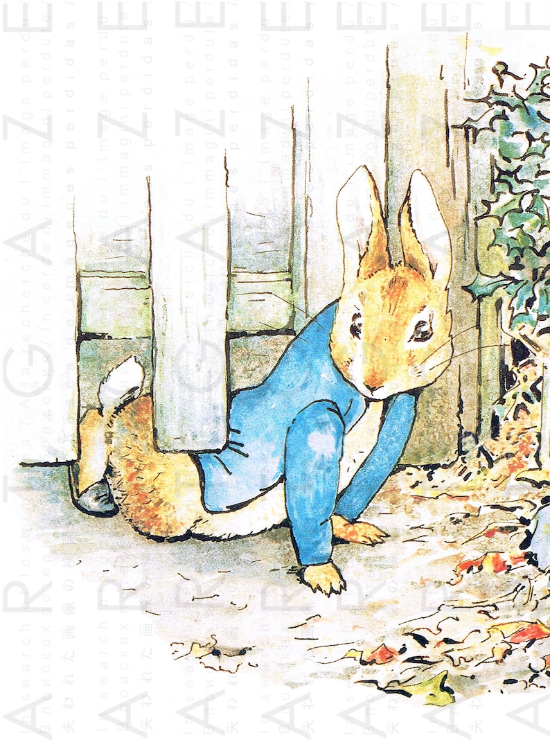 peter rabbit prints printable digital download beatrix etsy
