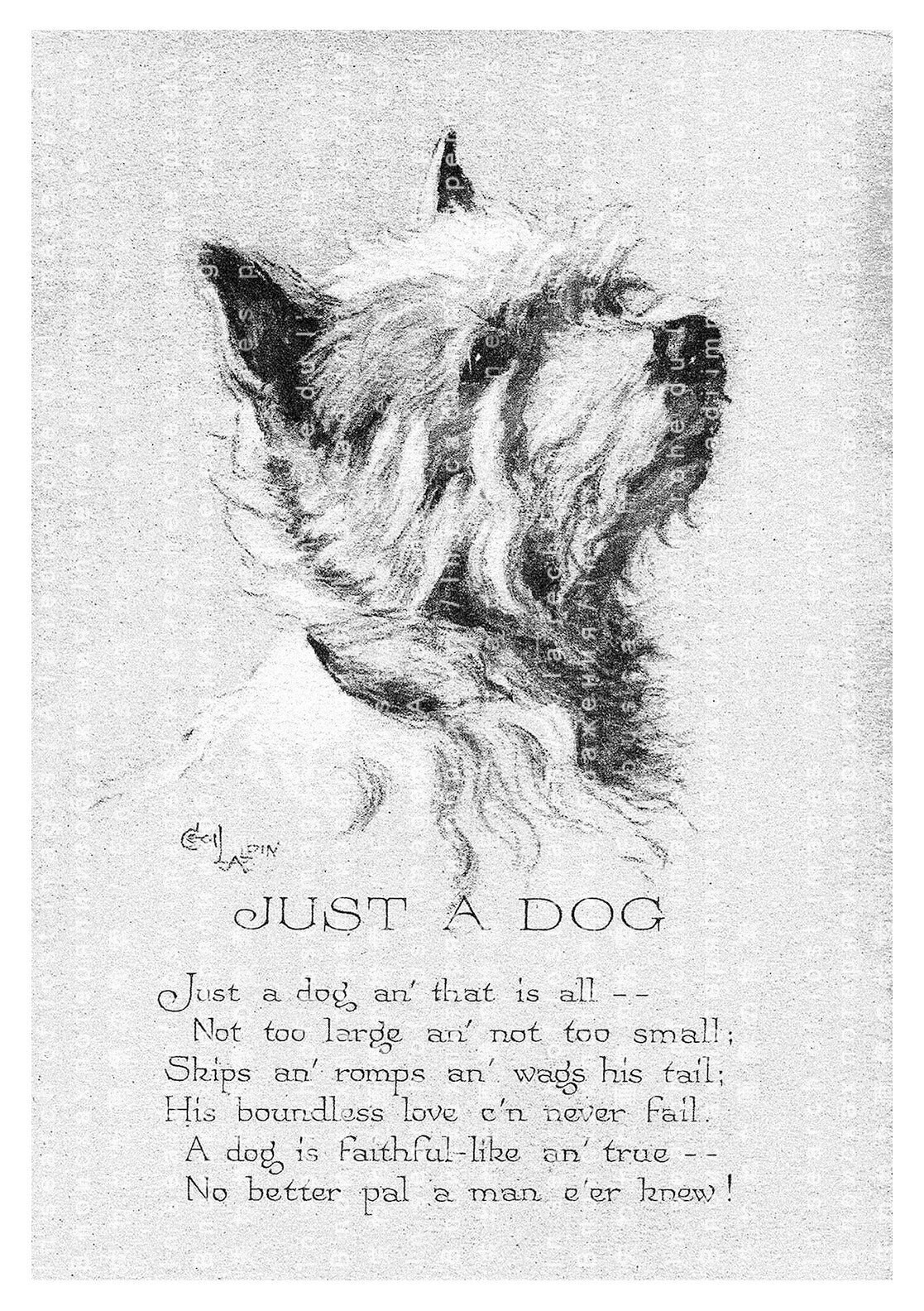 JUST A DOG CUTE Scottish Terrier &amp; Poem. Cecil Aldin's | Etsy