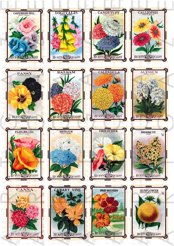 4 designs in PDF with instructions Printable Decorative Seed Packets 2 ...
