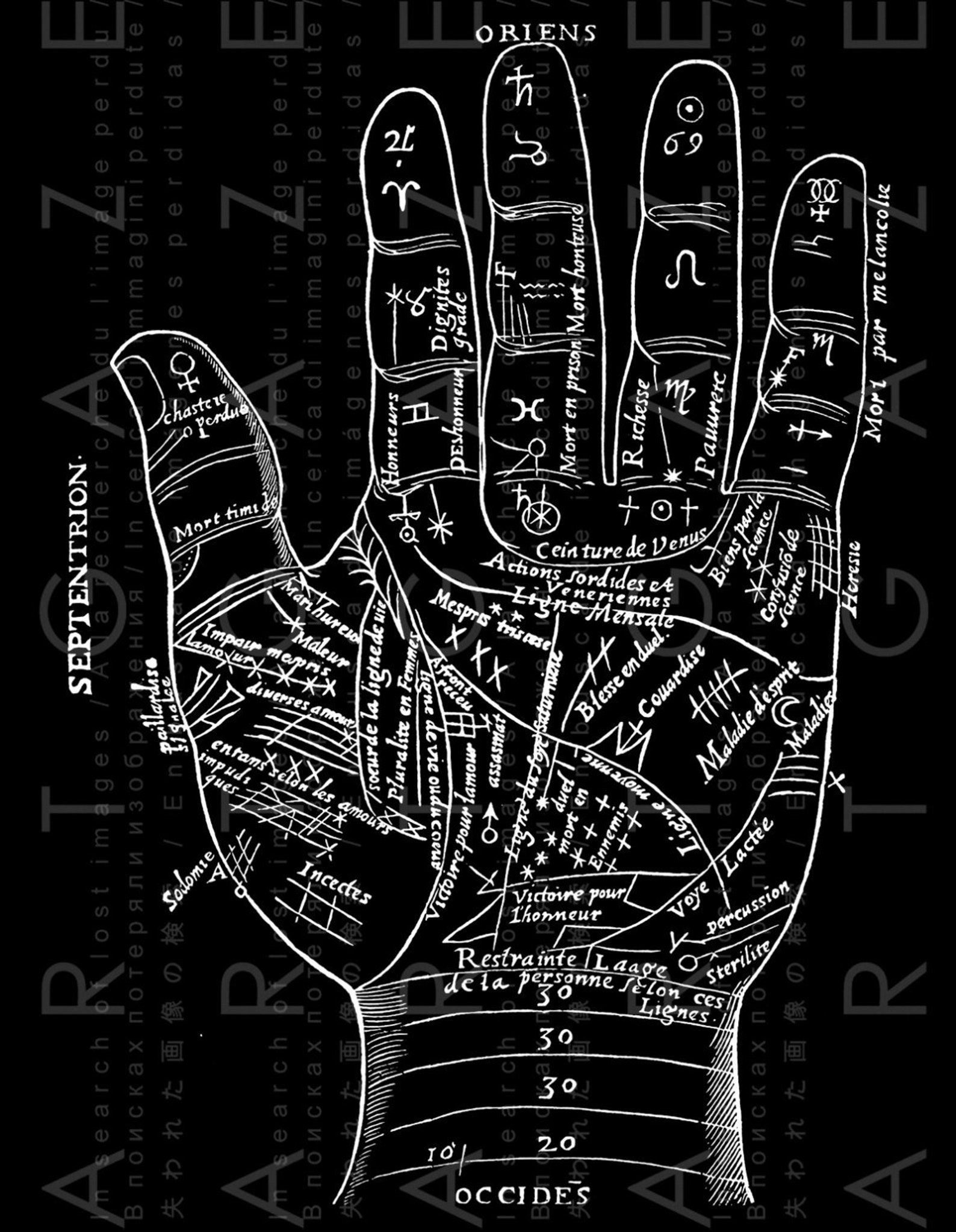 Palmistry Art. PALMISTRY Hand Printable Wall Art. Palm Reading | Etsy