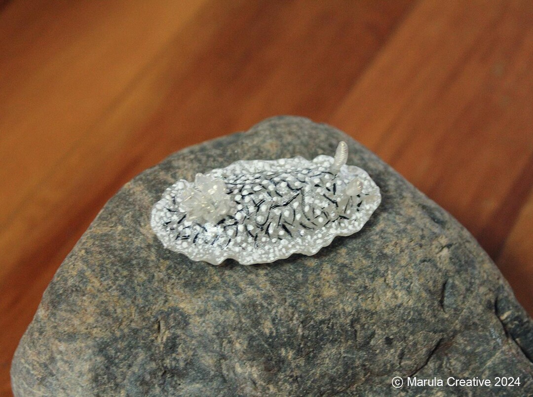Tish the Nudibranch (doriopsilla Tishae) - Etsy