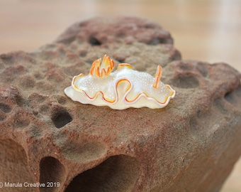 Ahu the Nudibranch (Ardeadoris poliahu)