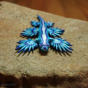 Atlan the Nudibranch Glaucus atlanticus Blue Dragon image 3