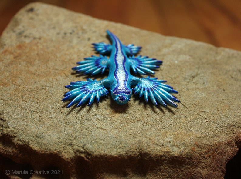 Atlan the Nudibranch Glaucus atlanticus Blue Dragon image 3