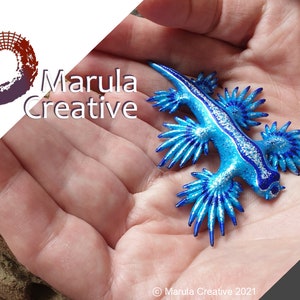 Atlan the Nudibranch (Glaucus atlanticus) &quot;Blue Dragon&quot;