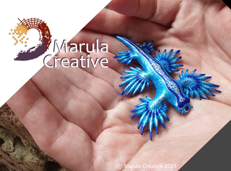 Atlan the Nudibranch Glaucus atlanticus Blue Dragon image 1