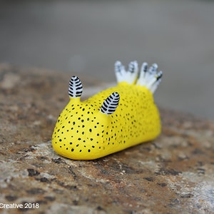 Unna the Nudibranch (Jorunna parva &quot;Sea Bunny&quot;) small