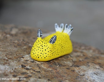 Unna the Nudibranch (Jorunna parva &quot;Sea Bunny&quot;) small