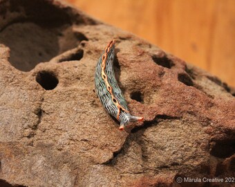 Atna the Nudibranch (Thuridilla ratna)