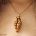 see more listings in the Nudibranch jewelry section