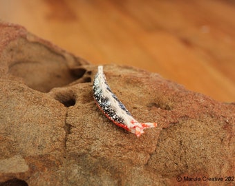 Kath the Nudibranch (Thuridilla kathae)