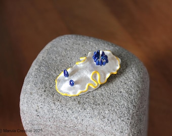 Scott the Nudibranch (Ardeadoris scottjohonsoni)