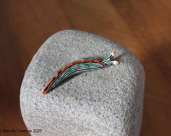 Cilis the Nudibranch (Thuridilla gracilis)