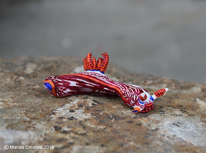 Stonei the Nudibranch Nembrotha livingstonei