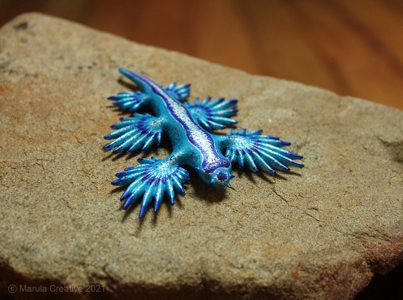 Atlan the Nudibranch Glaucus atlanticus Blue Dragon image 2